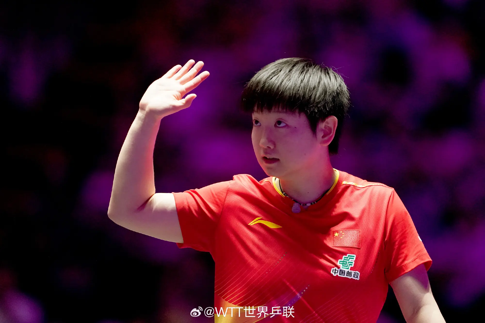 赛资格, 不敌王楚钦, 林钟勋 赛资格, 不敌王楚钦, 林钟勋